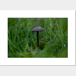 Mushroom surrounded by green Posters and Art